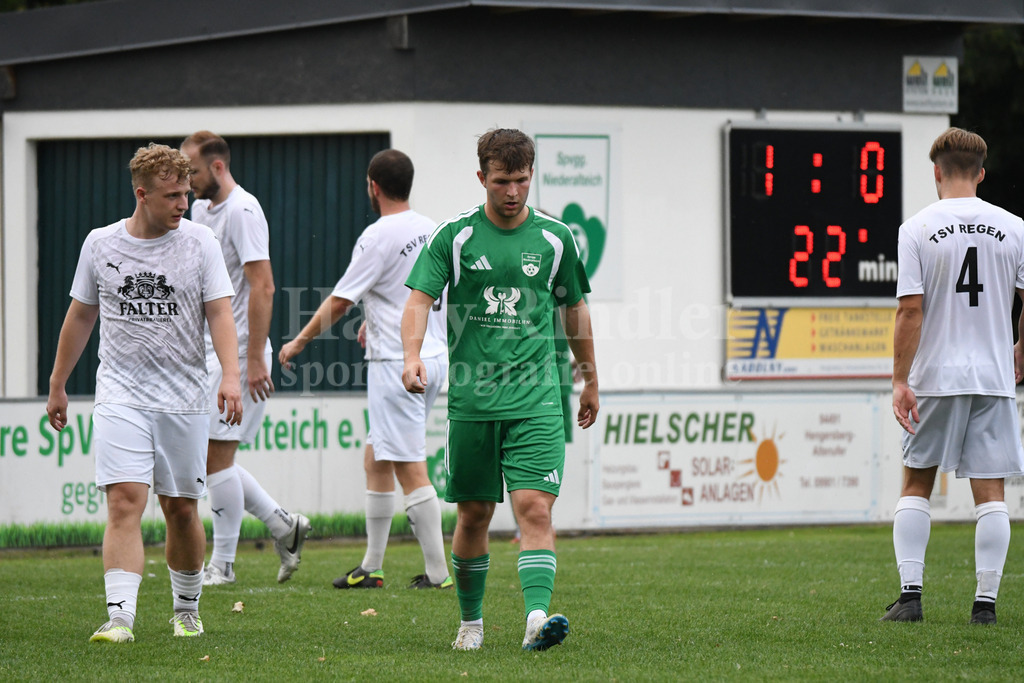 SpVgg Niederalteich : TSV Regen | Florian Nickl (SpVgg Niederalteich) - Realisiert mit Pictrs.com
