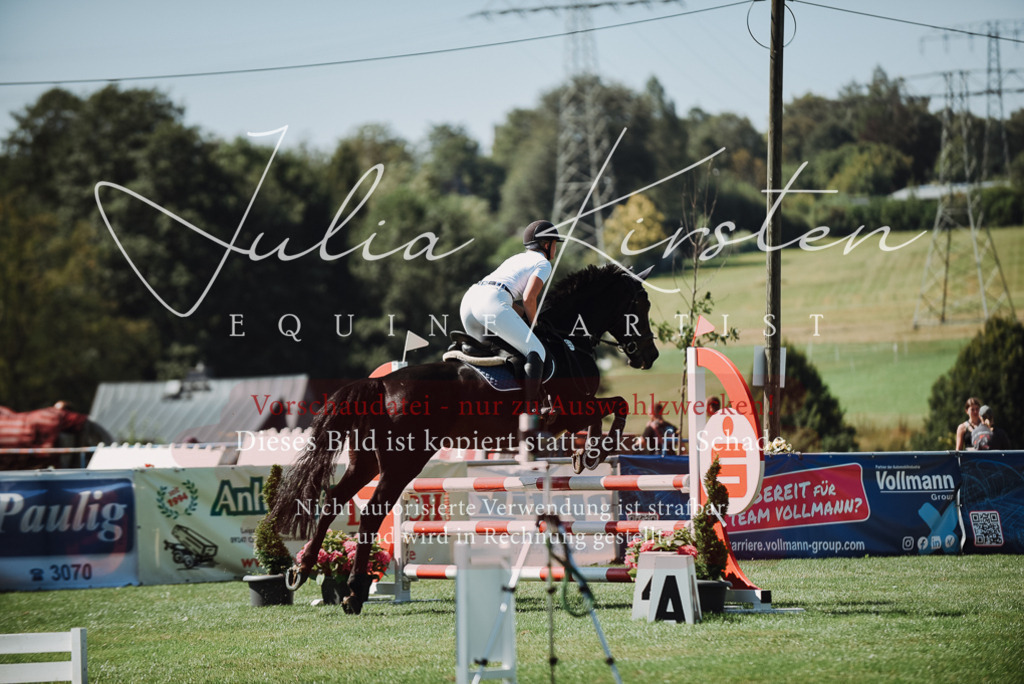 DSC_3059 | Pferde- und Turnierfotografie in Westsachsen. Pferdeportraits, Auftragszeichnungen und intuitive Kunst.