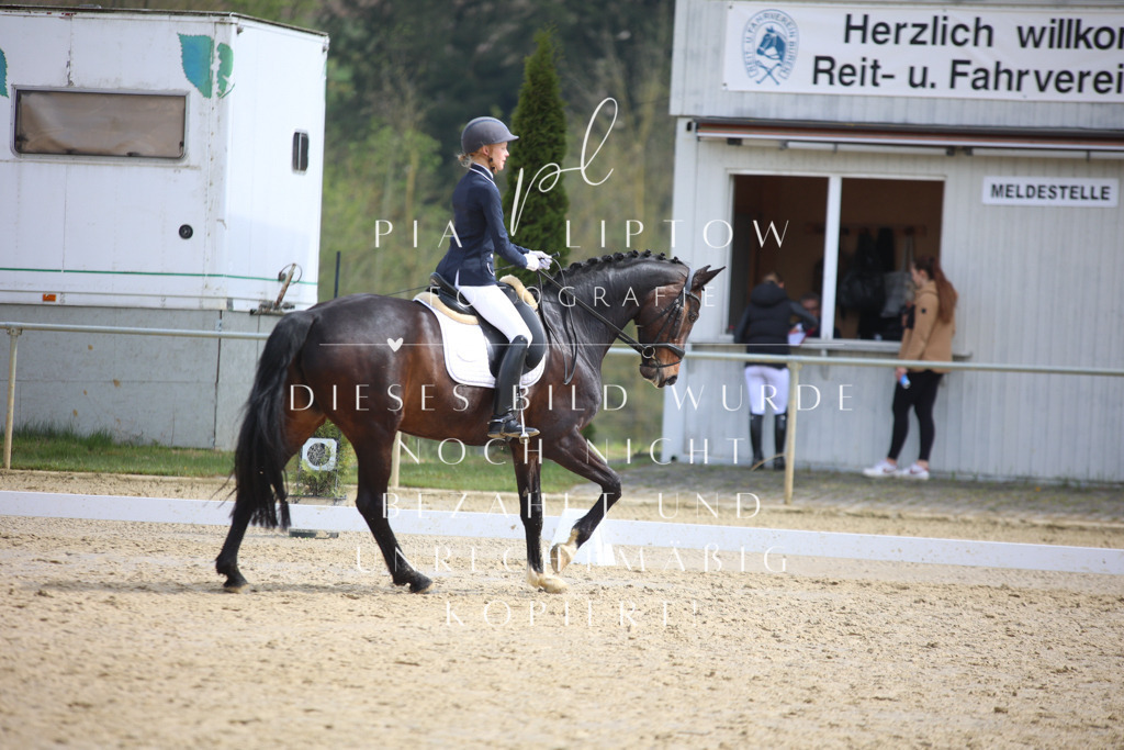 IMGT4962 | pl-fotografie