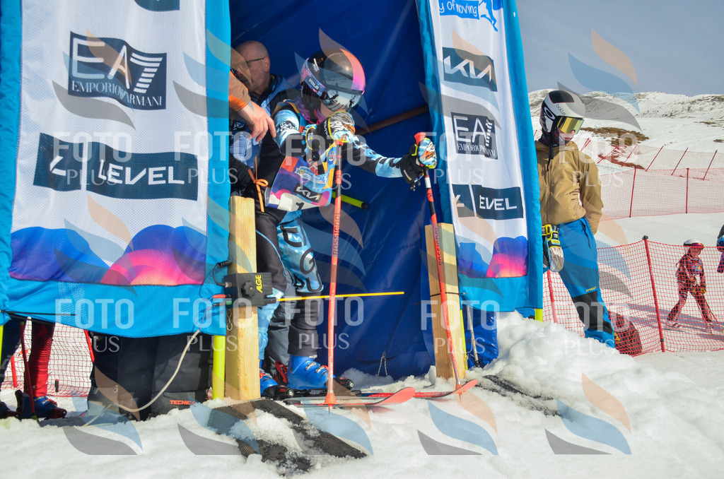 _ELE4325 | holidayphoto