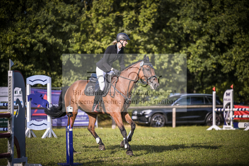 DOS_0284 | Entdecke hochwertige Reitturnierfotos von Foto Oger. Professionell, emotional und authentisch – jetzt Lieblingsmomente im Shop bestellen.Deutschlandweite Turnierfotografie. - Realisiert mit Pictrs.com