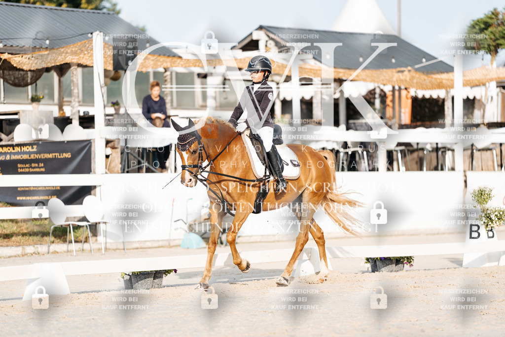 CK903696 | Turnierfotografie Pferdefotografie Trier Rheinland-Pfalz Pferdesport Reitsport Tierfotografie Sportfotografie Pferdevideo Pferdevideografie Equestrianvideography equestrianphotography  - Realisiert mit Pictrs.com