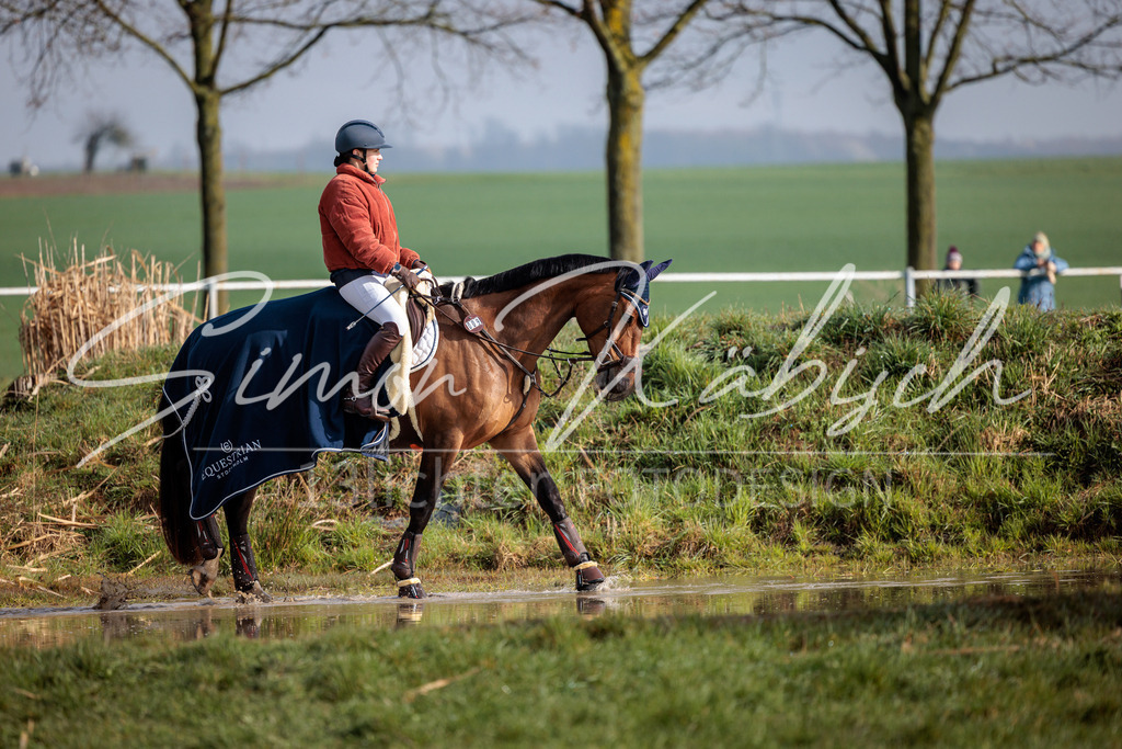 20260329-_3LI3287 | Tierfotografie Pferde, Hunde, Katzen, Haustiere.
Turnierfotografie Reitturniere, Reiten, Springreiten, Dressur in Hanau, dem Main-Kinzig-Kreis und dem Rhein-Main- Gebiet um Frankfurt