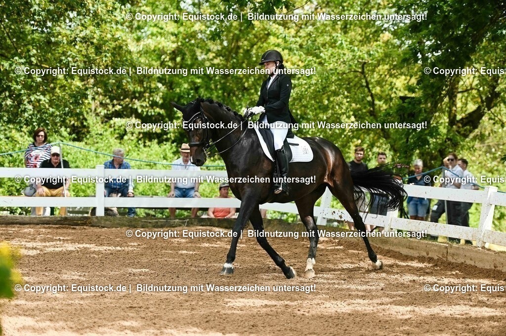 20230716_01_Dressurprüfung Kl.M_0053 | equistock