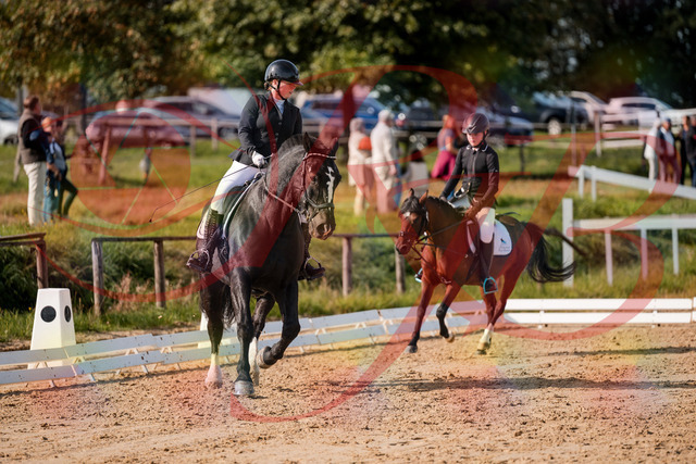 2026_10_03_Siefer-Hof_120803_Z63_37245980 | Professionelle Reitsport-, Turnier- und Eventfotografie von Robert Broda. Galerien mit ausgewählten und bearbeiteten Bildern direkt online ansehen und bestellen.