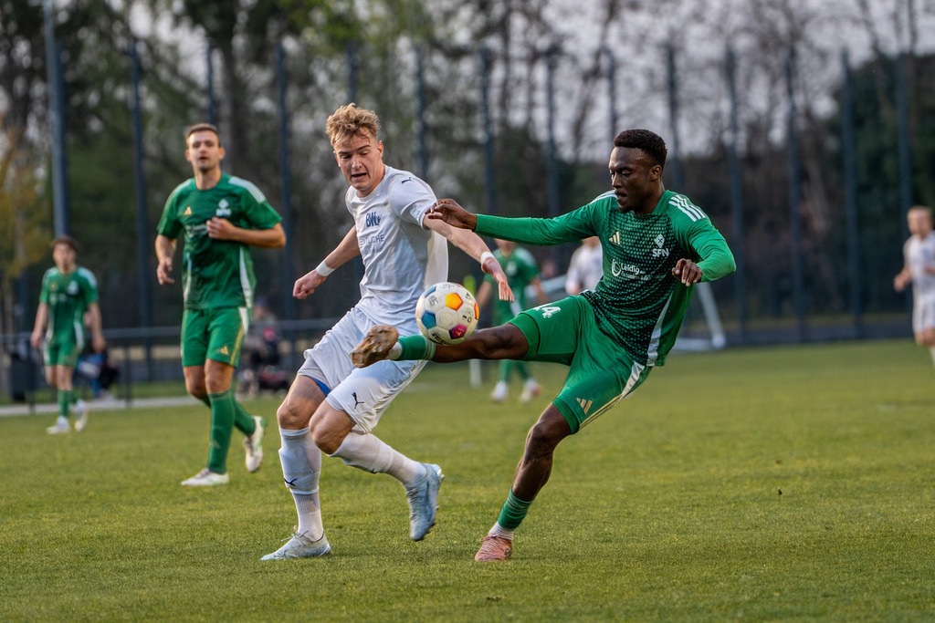 Fußball I Herren I Saison 2025-2026 I Landesliga Weser-Ems I 23. Spieltag I SFN Vechta - BW Lohne II I 00193 | jns.sportfotos - Realisiert mit Pictrs.com