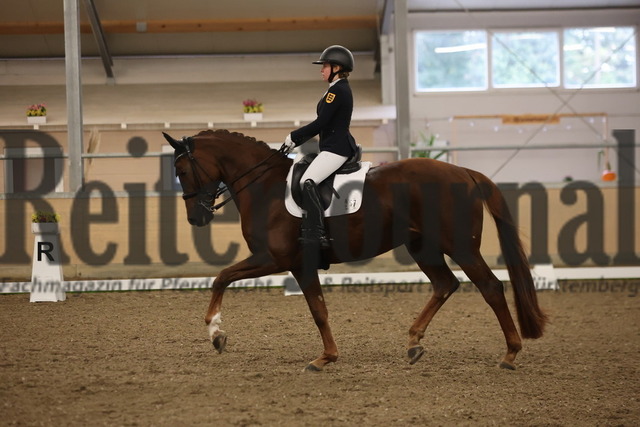 Waghäusel-Wiesental_2024_Prfg.Nr.08_1.WP_U25_Clara Kohoutek_Belinda FRH (1) | Alle Fotos der Reiterjournal Fotografin Doris Matthaes im Reiterjournal Online-Fotoshop. - Realisiert mit Pictrs.com