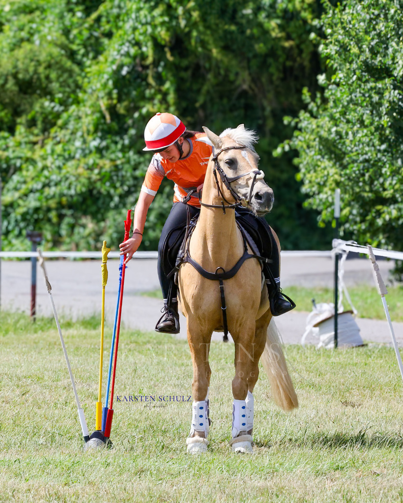 1B3A4891 | Reitsport Reiten