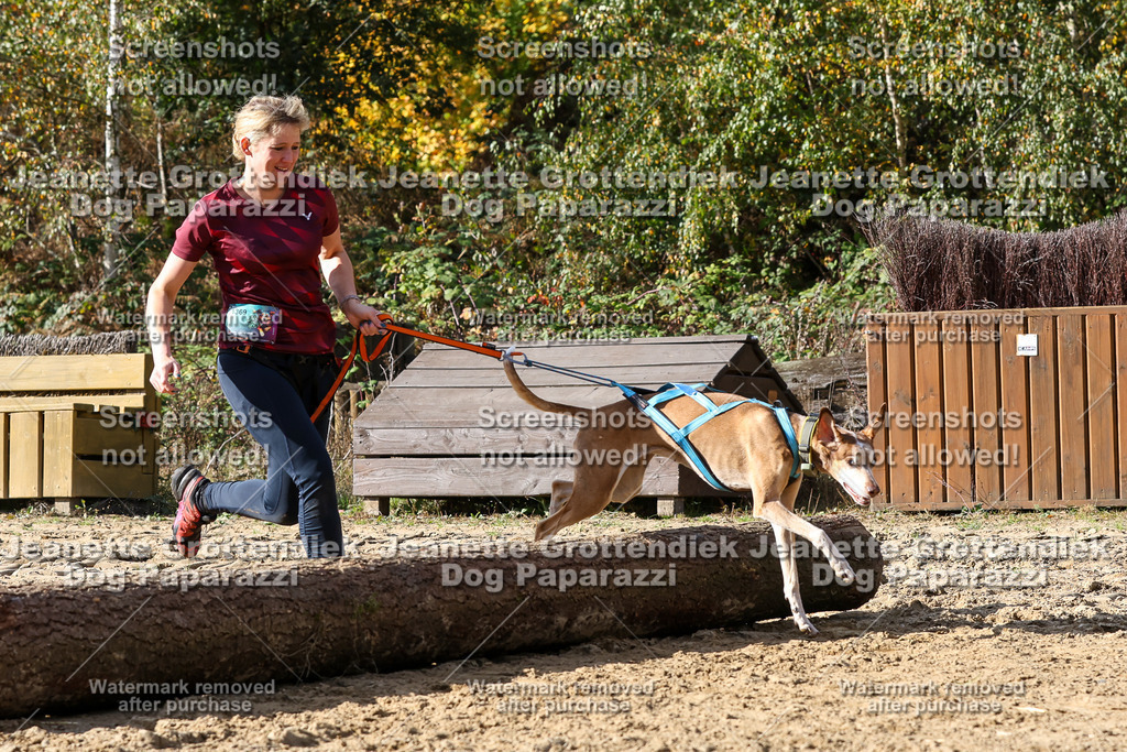 Dog Paparazzi - Strongdog 10-25-5497 | Dog Paparazzi Jeanette Grottendiek Fotografie & Videografie - Realisiert mit Pictrs.com