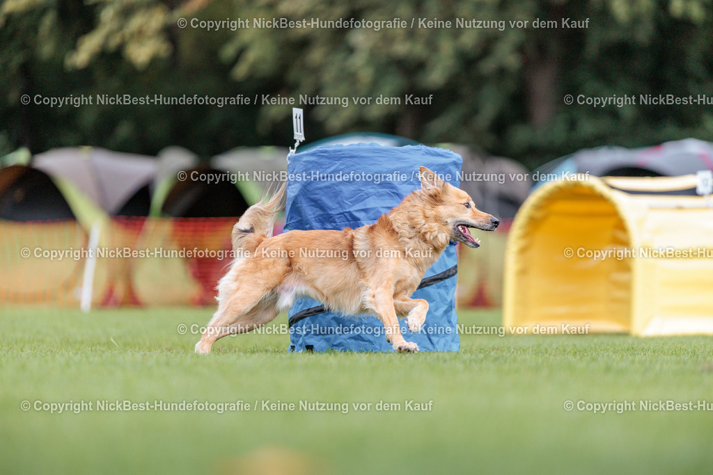 BSP Hoopers-H1-2026-Nickbest-Hundefotografie-TuS Komet Arsten e.V.-7611 | Dein Hund! Dein Moment! Deine Erinnerungen! Hundefotografie in Bremen Blumenthal. Ich fange die besonderen Momente deines Vierbeiners ein – ob Indoor mit Blitzanlage oder in der freien Natur. Sicher dir dein Moment und dein Termin für eure Erinnerungen.