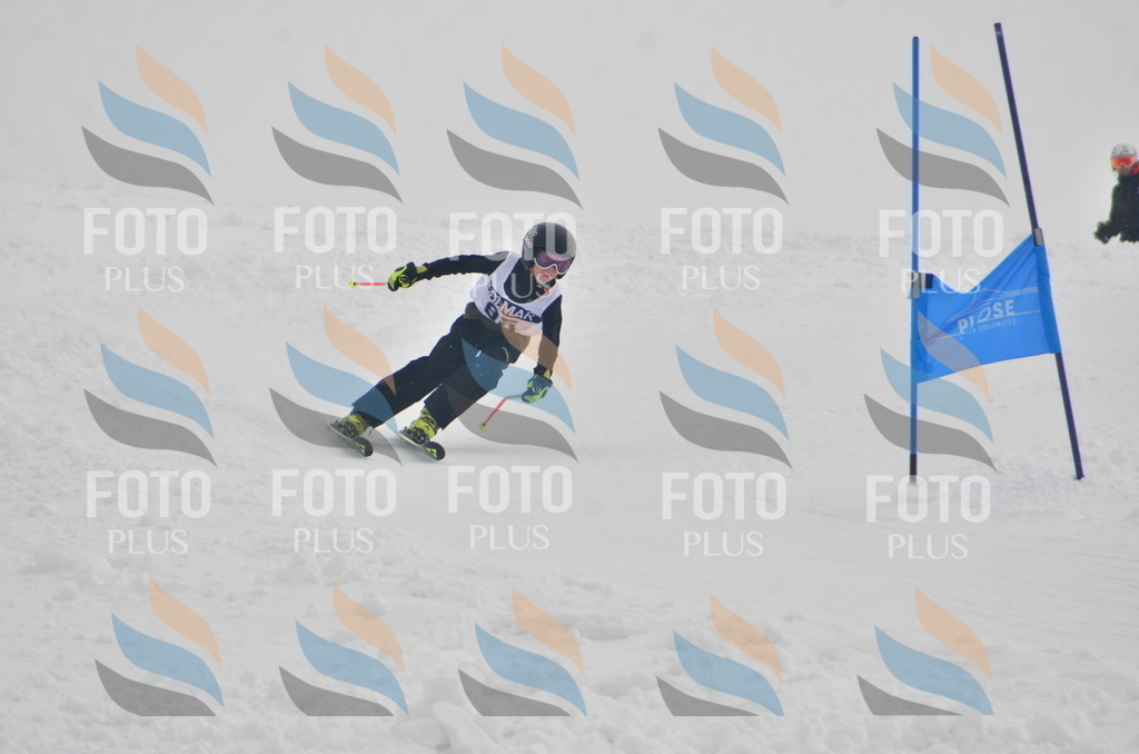 A5530 | holidayphoto