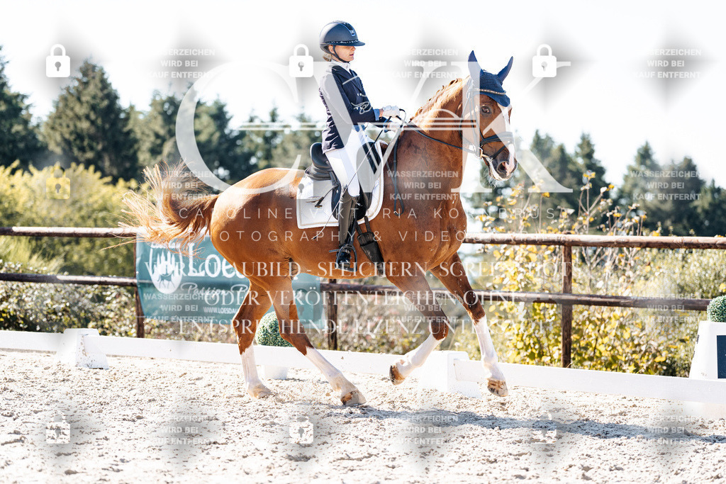 CK905517 | Turnierfotografie Pferdefotografie Trier Rheinland-Pfalz Pferdesport Reitsport Tierfotografie Sportfotografie Pferdevideo Pferdevideografie Equestrianvideography equestrianphotography  - Realisiert mit Pictrs.com