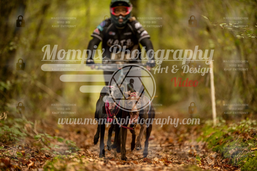 TSB_2023_E1_DS2-4 | PayLife