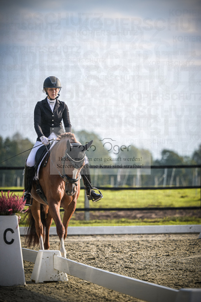 DOS_3559 | Entdecke hochwertige Reitturnierfotos von Foto Oger. Professionell, emotional und authentisch – jetzt Lieblingsmomente im Shop bestellen.Deutschlandweite Turnierfotografie. - Realisiert mit Pictrs.com