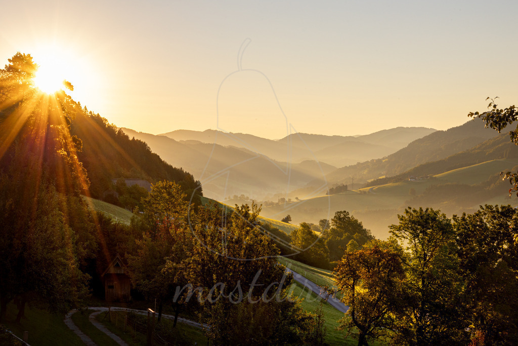 Herbst_Randegg_Hoch_Oben_Mostdirn_Irmgard_Wieser- | Ihre Fotografin im Lungau, ihre Fotografin im Mostviertel, Wandbilder Onlineshop, Imagefotos für Ihr Unternehmen,  - Realisiert mit Pictrs.com