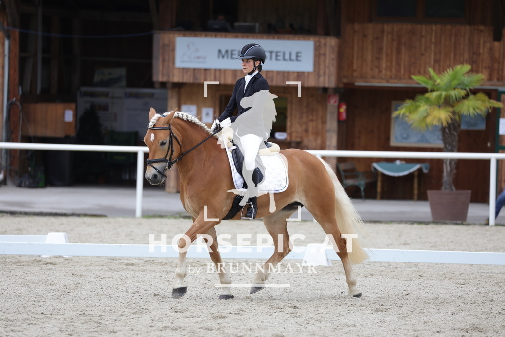 0P6A5228 | Willkommen bei Brunnmayr - Design & Fotografie – Ihrem Spezialisten für Reitturniere und Pferdeveranstaltungen in Oberösterreich, Salzburg und Bayern! Seit über 17 Jahren sind wir leidenschaftlich dabei.
