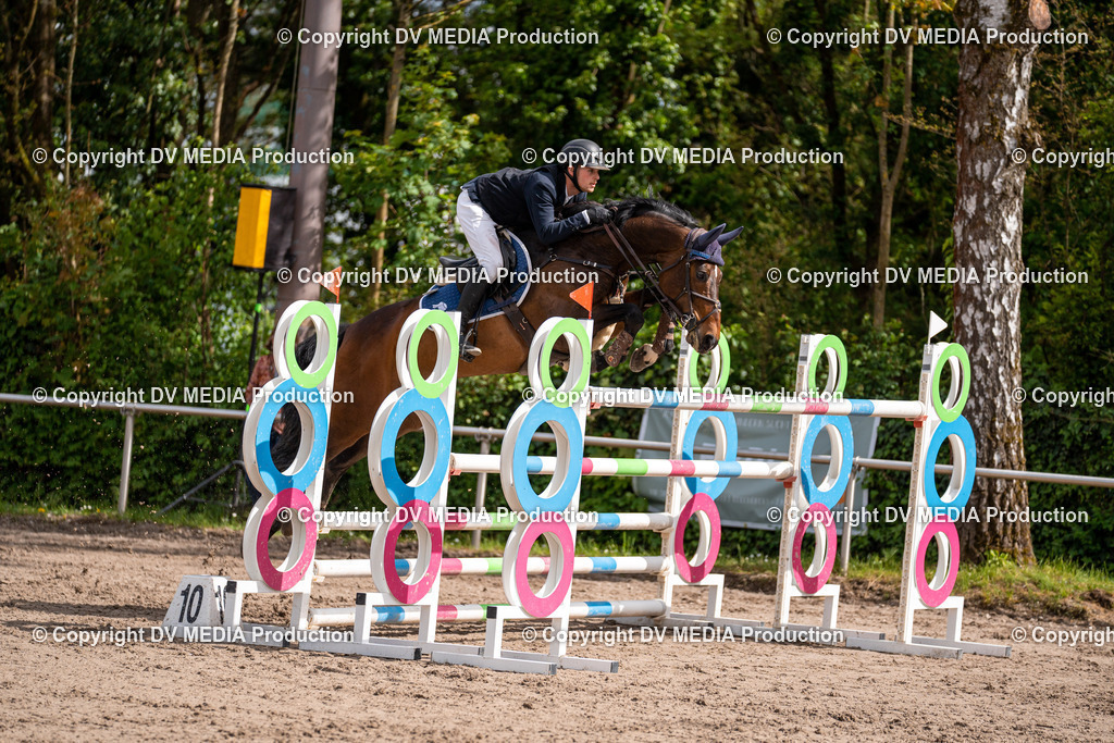 Eppelheim Tag 3-300 | dv-media-shop - Realisiert mit Pictrs.com