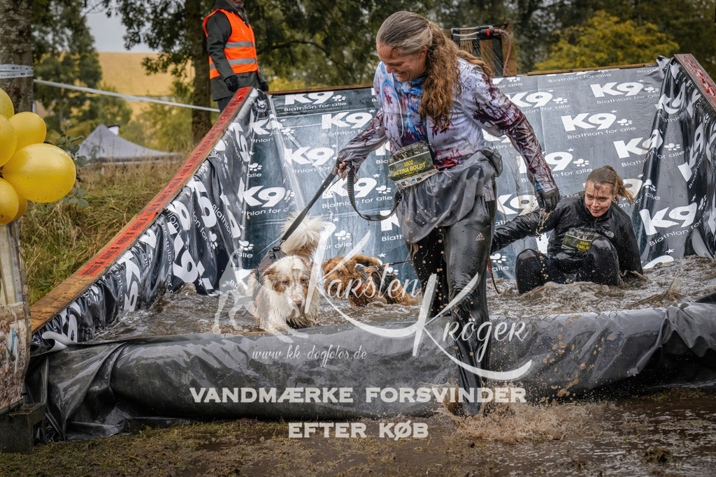 1215_ZZ94855 | kk-dogfotos