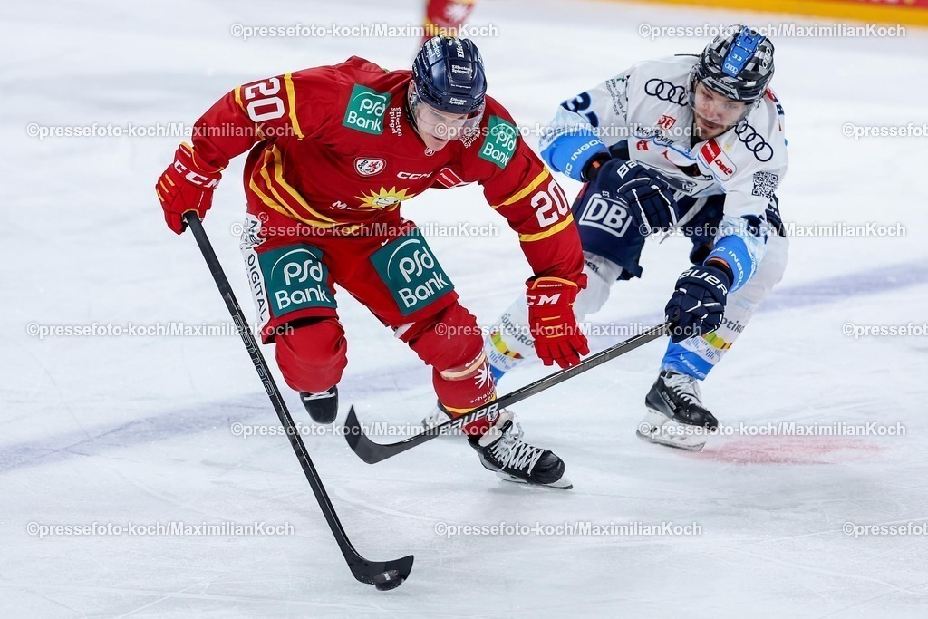 DEG02012501029 | 02.01.2025, Eishockey, Penny DEL, Düsseldorfer EG - ERC Ingolstadt, PSD-BANK Dome: Laurin Braun (DEG #20) im Zweikampf gegen Charles Bertrand (ERC Ingolstadt #33)