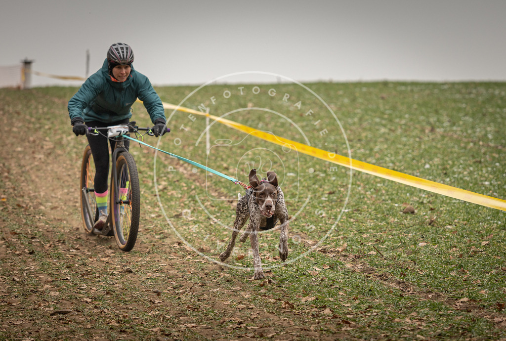 Pfotenfotografie_DV3A3570 | Hundefotografie, Tierfotograf, Pfotenfotografie, Fotoshooting Hund, Hunde Portrait, Hundesport, Hundeportraits, Heideshooting, Hunde, Sportfotograf, Hundefotograf, Turnierhundsport, THS,  - Realisiert mit Pictrs.com