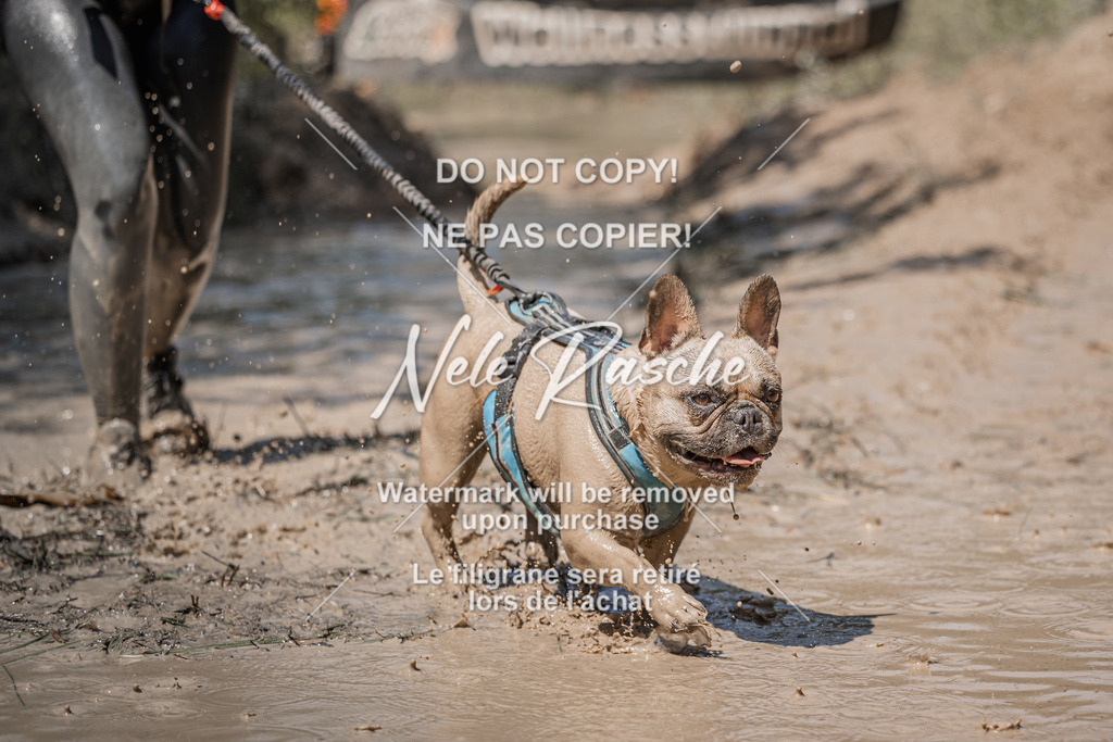 nelerasche_Hoope2026_Sa1400-1430_276 | nelerasche