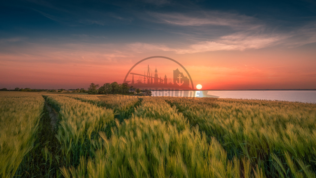 Sunset Brodtener Steilufer2 | Exklusive Hamburg collagen, tolle Segelbilder und viele weitere tolle Motive auf Leinwand, Poster, Alu-Dibond, u.v.m. findet Ihr bei uns auf hamburgbild.de. Findet Euer Wandbild für Euer Zuhause, Büro oder die  Praxis…. - Realisiert mit Pictrs.com