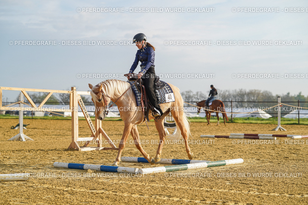 DSC00009 | Pferdegrafie