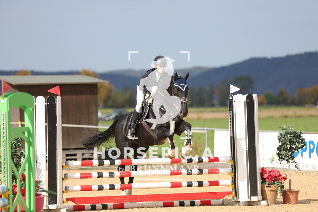 0P6A8564 | Willkommen bei Brunnmayr - Design & Fotografie – Ihrem Spezialisten für Reitturniere und Pferdeveranstaltungen in Oberösterreich, Salzburg und Bayern! Seit über 17 Jahren sind wir leidenschaftlich dabei.
