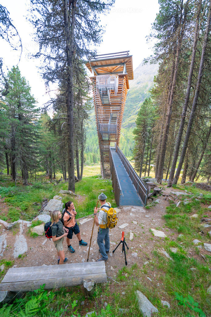 Wildtierbeobachtung_Oberhaus_Erlebnisraum_Wald_23_Peter_Maier-431 | piet_flosse