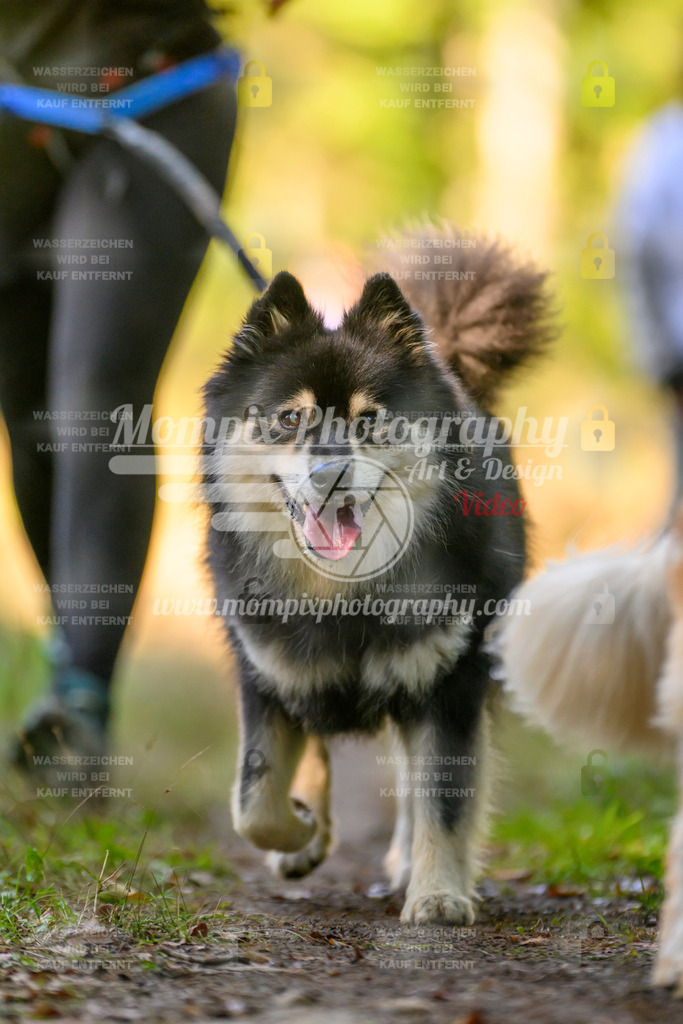 MompixPhotography_Yens2025_B3-142 | PayLife