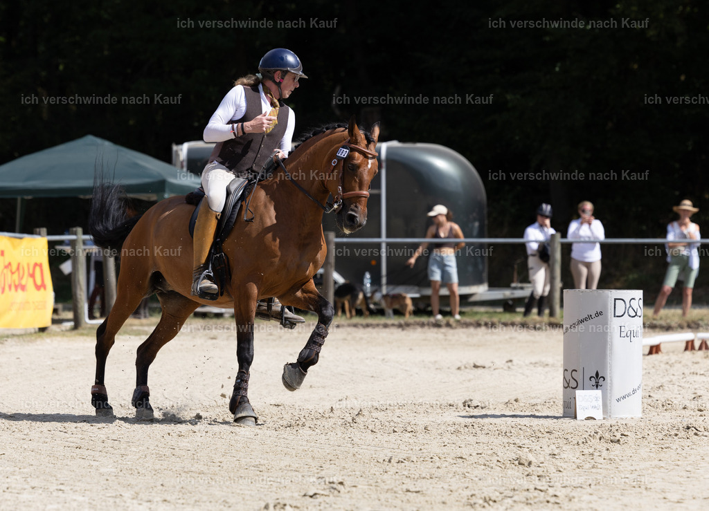 WS_SPEED62_KerstinBernhardt-11 | working equitationturnier fotograf videograf stoibphotography marixx film working equitation deutschland reitsport turnierfotografie eventfotografie equestrian events
