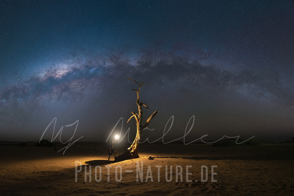 Eine Lampe unter Millionen Sternen | Ein einzelner Baum wird illuminiert unter der Milchstraße - Realisiert mit Pictrs.com