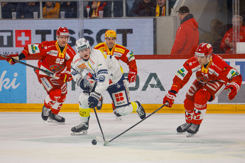 EHCB vs HCAP 20260115_wb-4110 | Sportbilder, Sportfotograf, Hochzeits- und Eventfotografin, Flugshows, Portraits und Tiershooting, Aviation, Downhill, Nationalleague, Swissleague, International