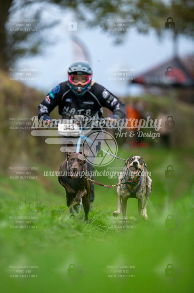 TSB_2023_E8_DS2-2 | PayLife