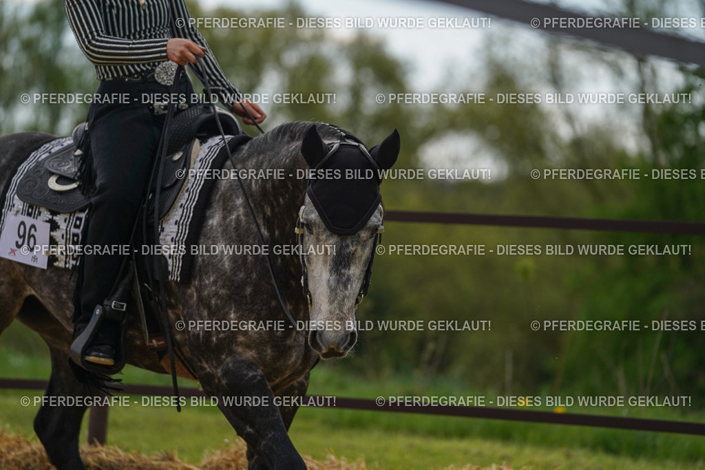 DSC02356 | Pferdegrafie