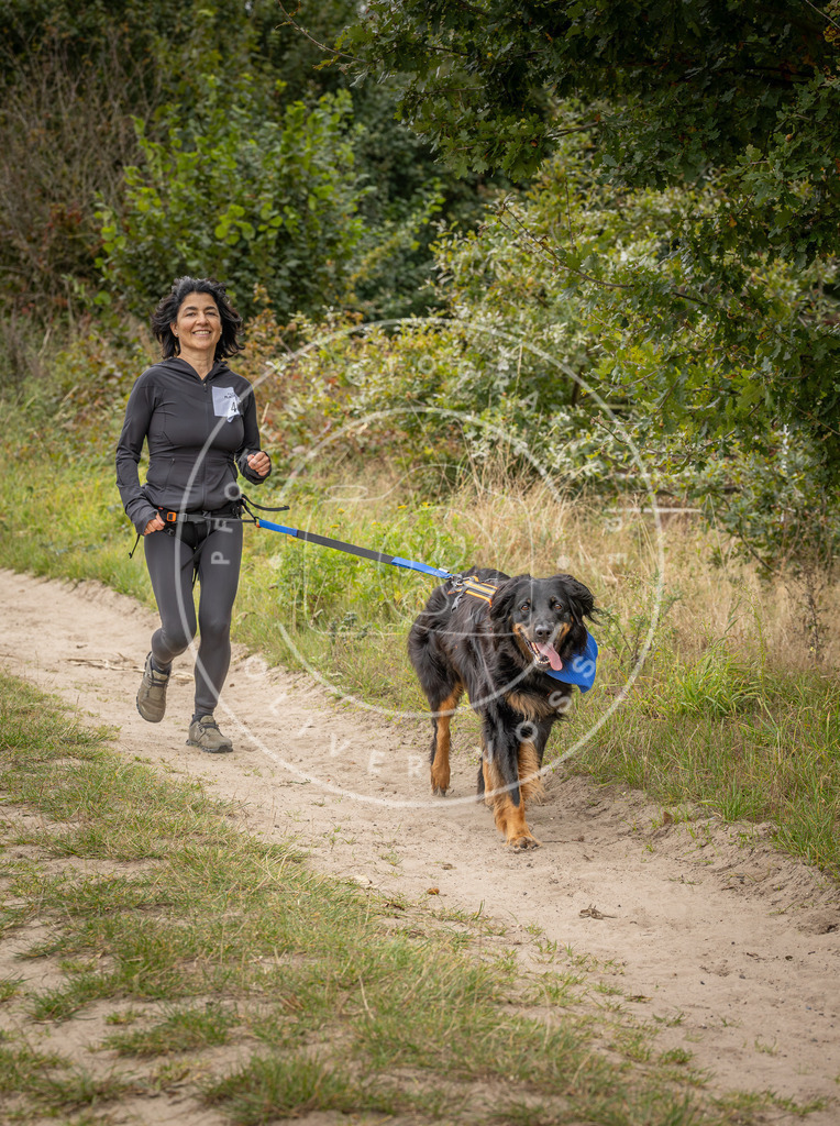 Pfotenfotografie_DV3A6246 | Hundefotografie, Tierfotograf, Pfotenfotografie, Fotoshooting Hund, Hunde Portrait, Hundesport, Hundeportraits, Heideshooting, Hunde, Sportfotograf, Hundefotograf, Turnierhundsport, THS,  - Realisiert mit Pictrs.com