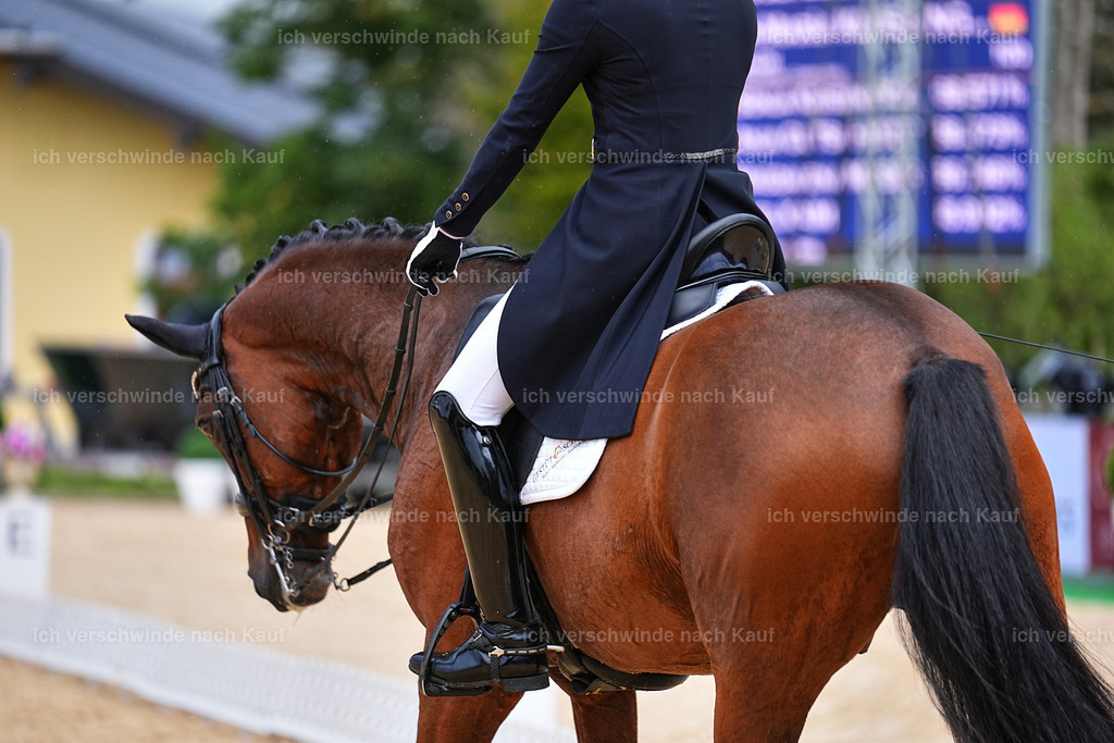 8_1-100-Klasse S_  -Marixx-4207 | working equitationturnier fotograf videograf stoibphotography marixx film working equitation deutschland reitsport turnierfotografie eventfotografie equestrian events