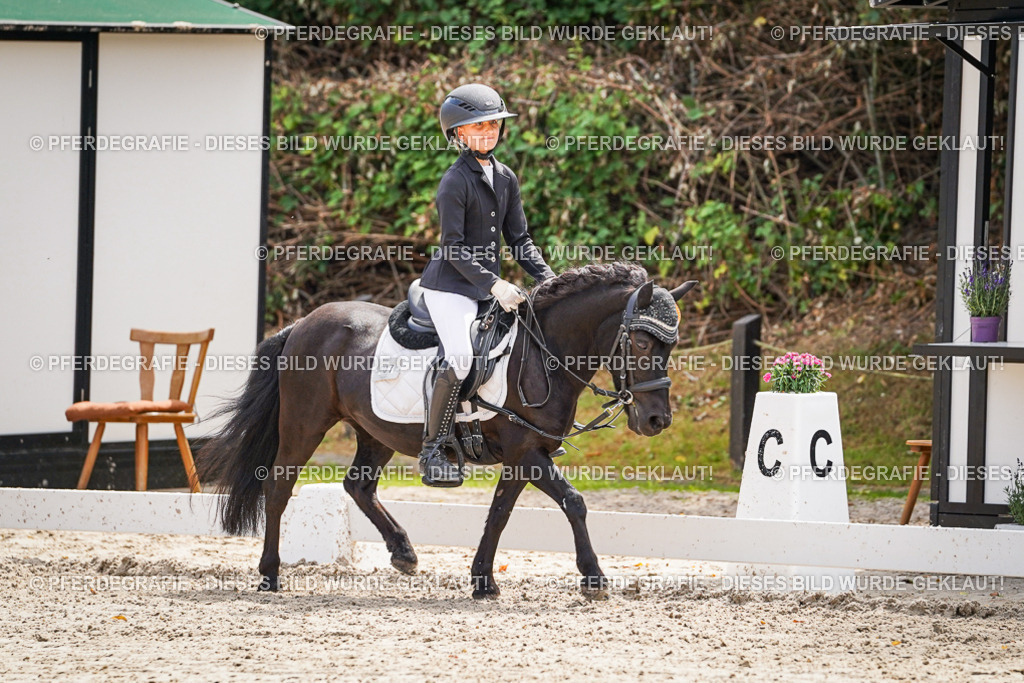 DSC02896 | Pferdegrafie