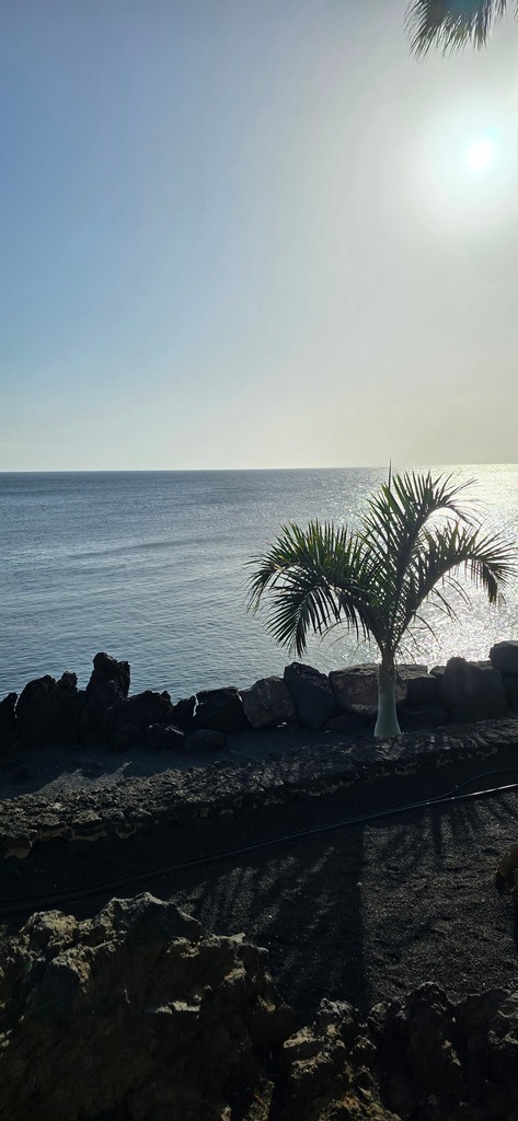 20241204_160311 | Heilkarten - Realisiert mit Pictrs.com