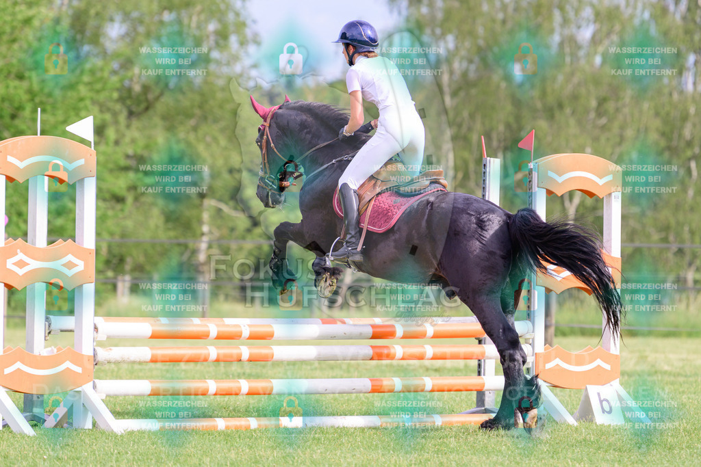 30052026-Forstinning-Prfg20-0425 | Fokus Hufschlag Fotografie - Realisiert mit Pictrs.com