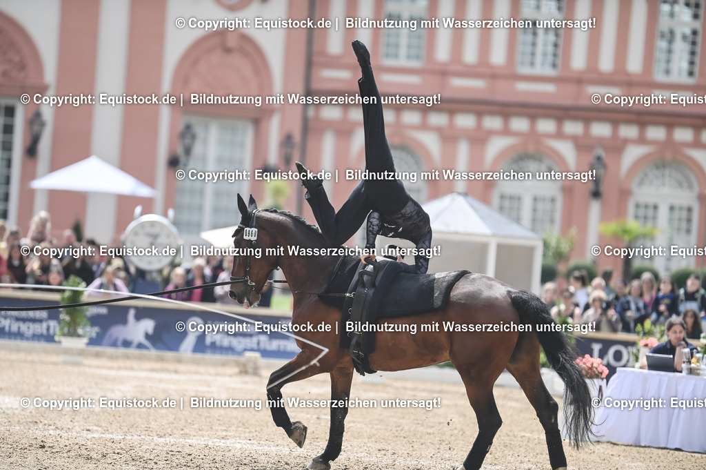 20240519_Voltige_0533 | Foto: Thomas Hartig