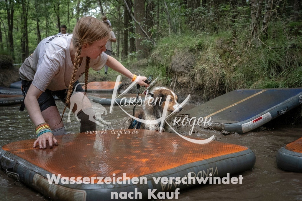 1213_ZZ97946T | kk-dogfotos