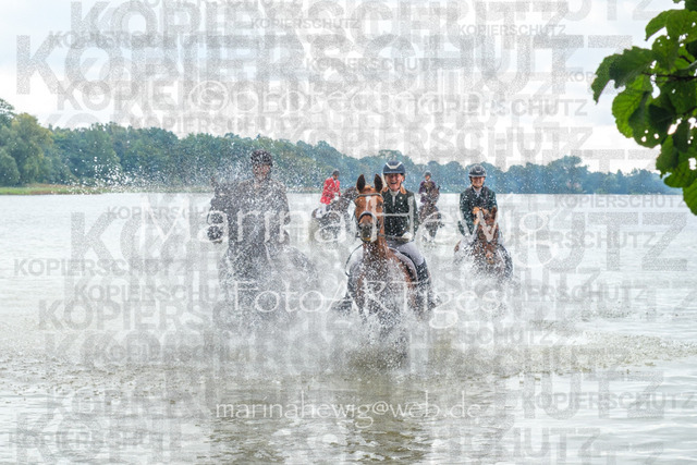 Jagd Perdoel_MarinaHewigDSCF3704-2 | Fotografie, FotoArt, PferdesportArt, Pferdesportfotografie, Landschaftsfotografie, Reisefotografie, Reise, Pferde - Realisiert mit Pictrs.com