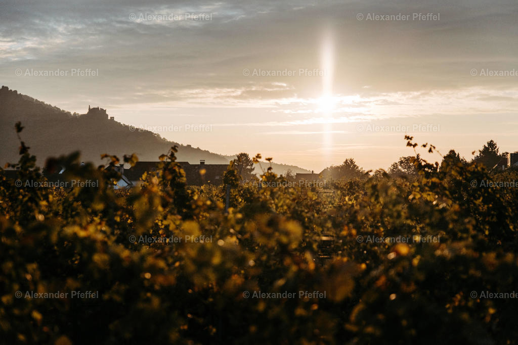 datei_c_alexander_pfeffel-0379-2 | alexander-pfeffel - Realisiert mit Pictrs.com