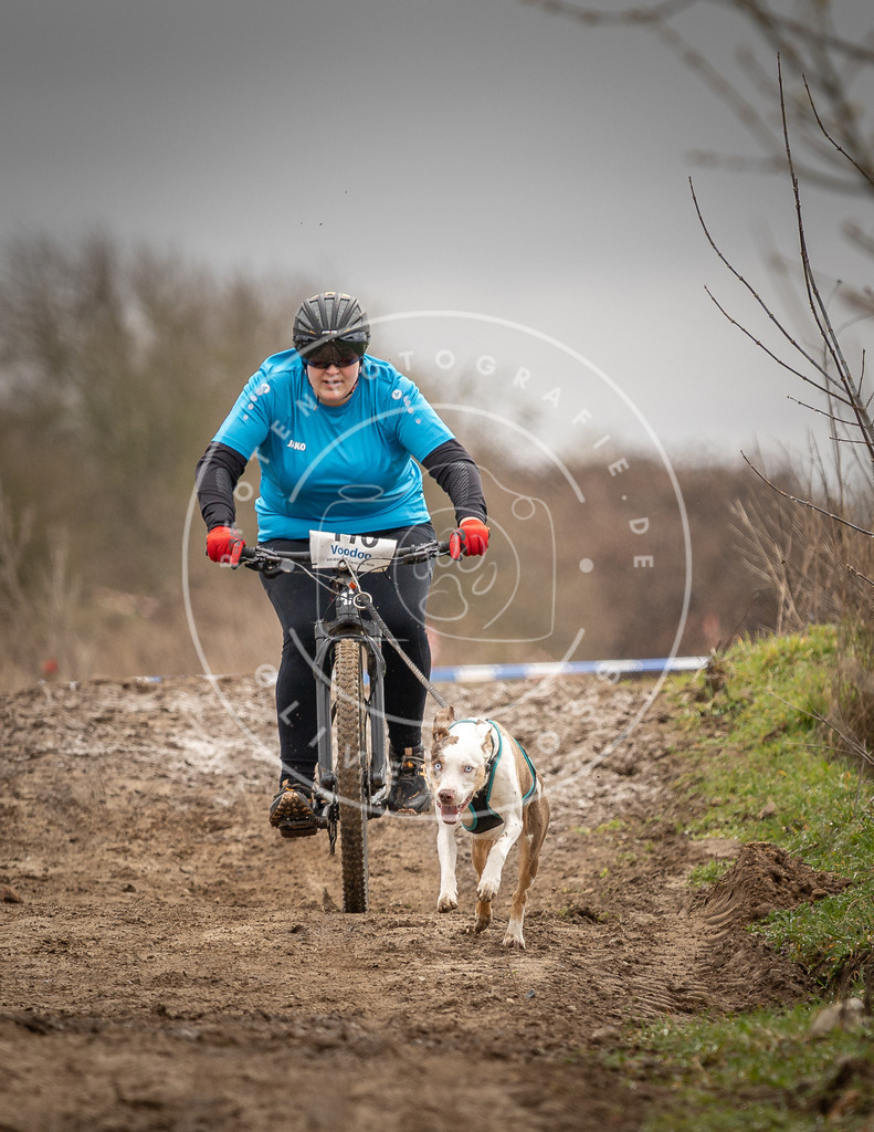 DV3A0668 | Hundefotografie, Tierfotograf, Pfotenfotografie, Fotoshooting Hund, Hunde Portrait, Hundesport, Hundeportraits, Heideshooting, Hunde, Sportfotograf, Hundefotograf, Turnierhundsport, THS,  - Realisiert mit Pictrs.com