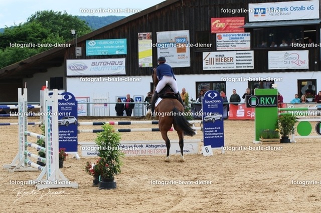 OHT1781 | Fotografie, Tiere, Hunde, Katzen, Pferde, Sportfotografie, Fotosession, Tierfotografie, Turnierfotografie, Fotografin, Fotograf - Realisiert mit Pictrs.com