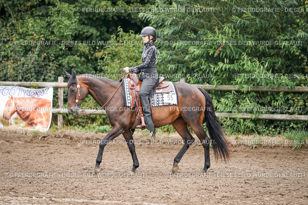 DSC03162 | Pferdegrafie