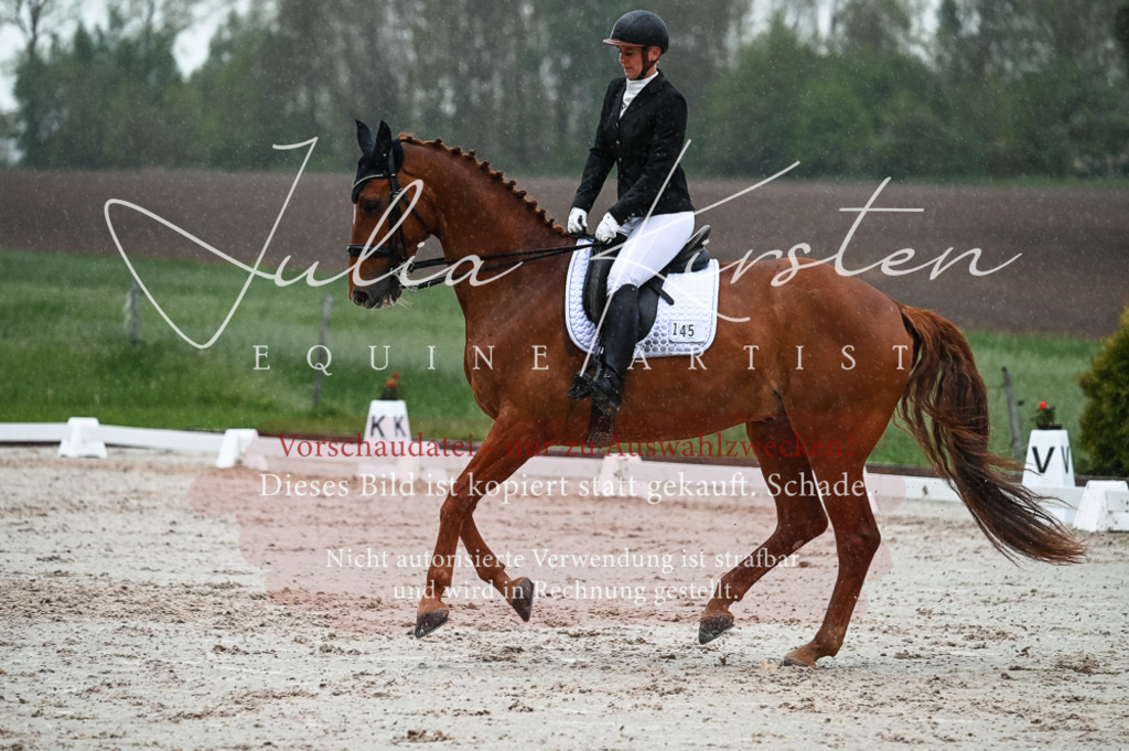 DSC_4440 | Pferde- und Turnierfotografie in Westsachsen. Pferdeportraits, Auftragszeichnungen und intuitive Kunst.
