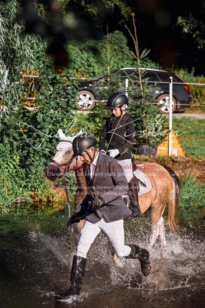 DSC_0339 | Pferde- und Turnierfotografie in Westsachsen. Pferdeportraits, Auftragszeichnungen und intuitive Kunst.