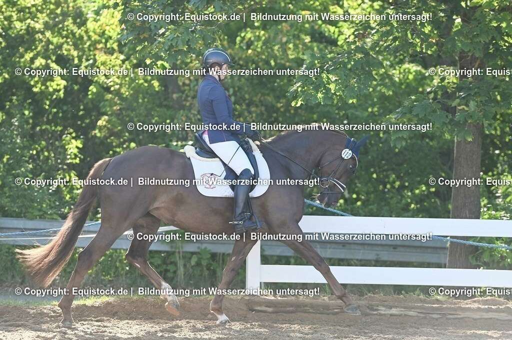 20230715_06_Dressurpferdeprfg. Kl.A_0128 | equistock